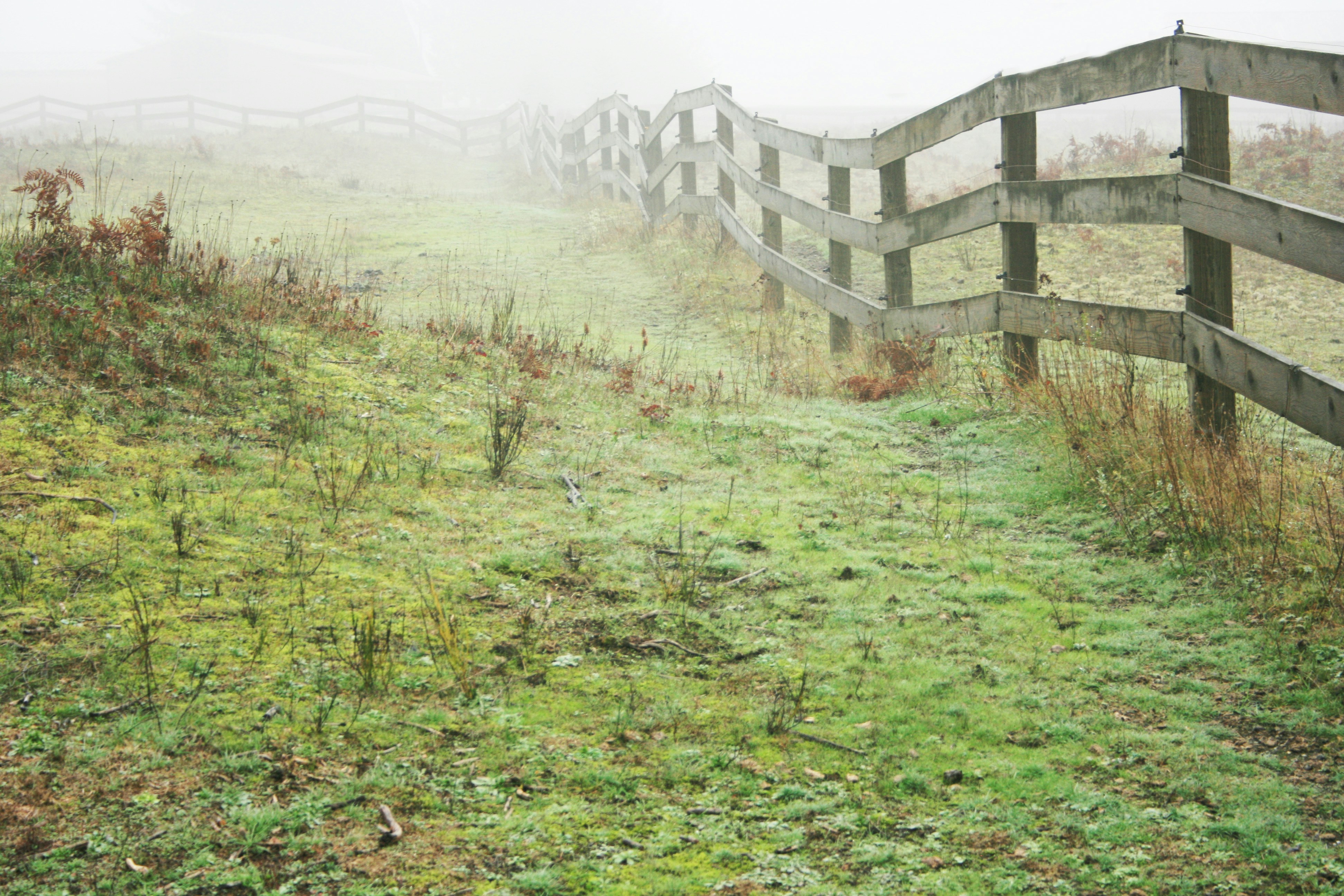 A fence boundary